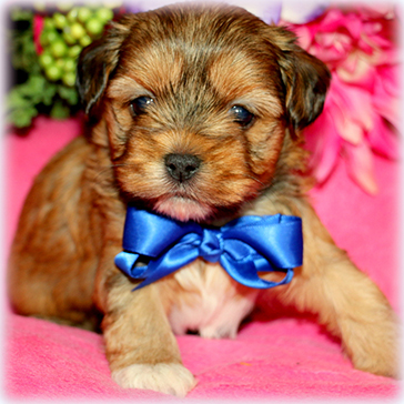 IMG_4674-002 IMG_4674-002