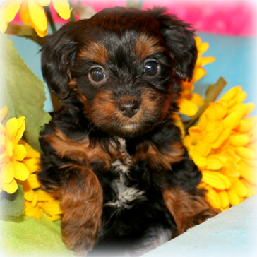 IMG_9835-003 IMG_9835-003