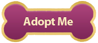 adopt adopt