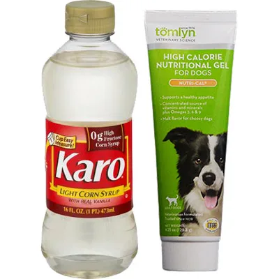 Karo syrup and Nutri-Cal gel