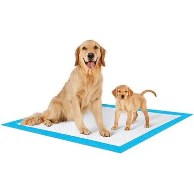Puppy on a puppy pad