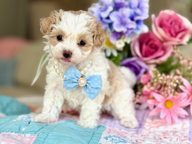 Tilley Mae