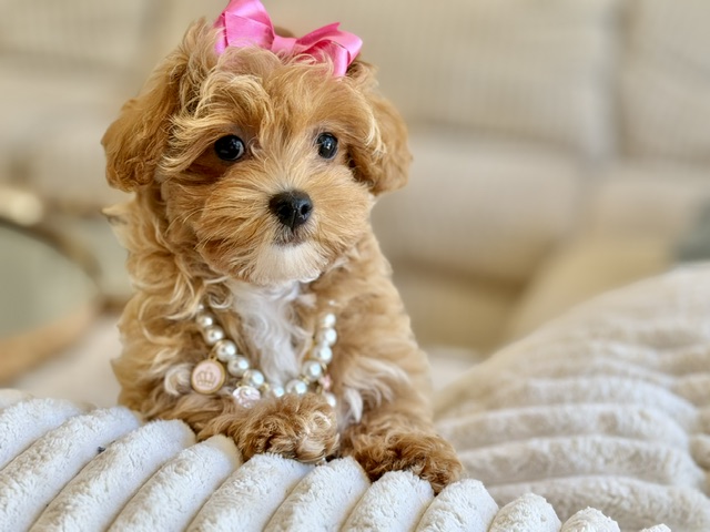 Milly