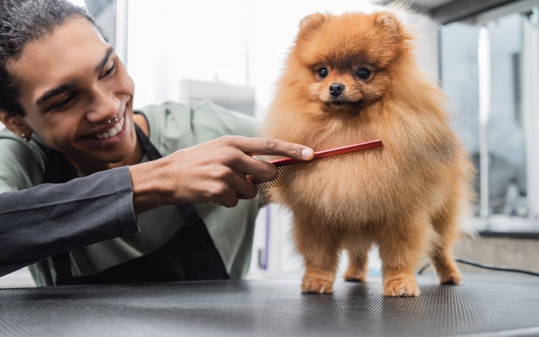 Unleash the Hidden Joys: Unveiling the Extraordinary Perks of Puppy Grooming