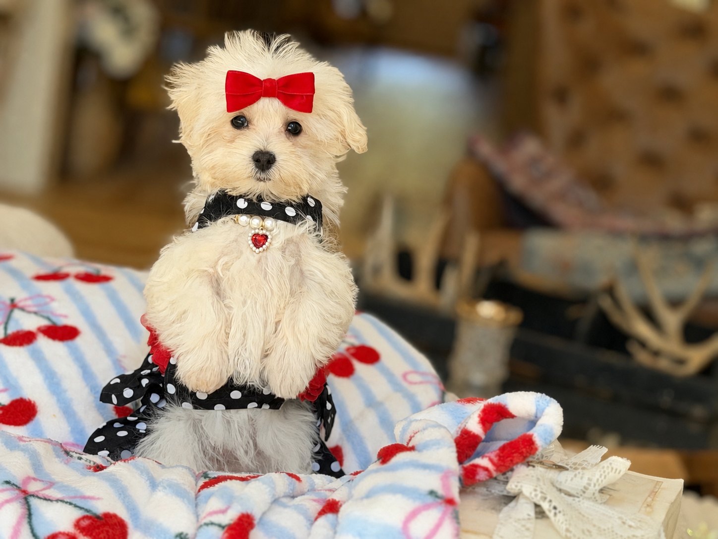 Minnie